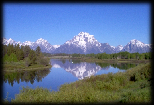 Click on thumbnails to see larger image.